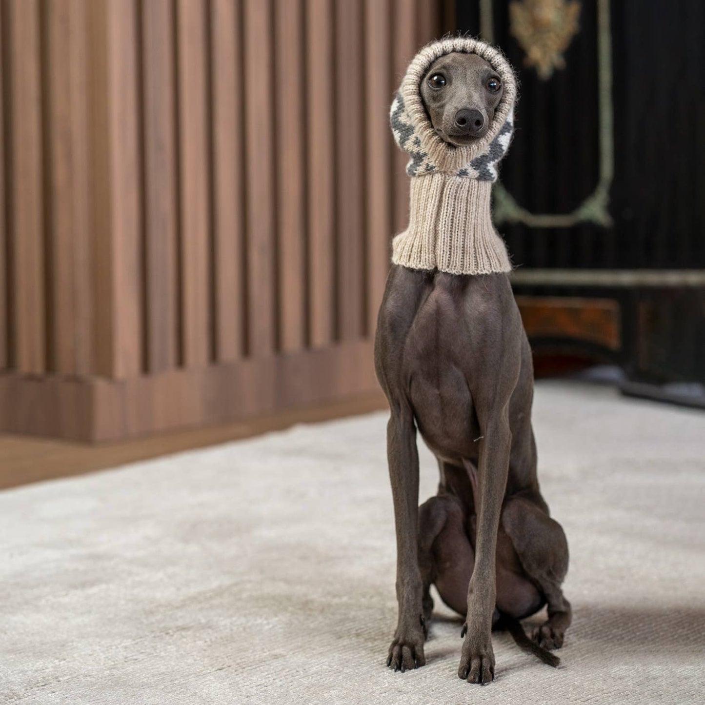 Woolly Winter Alpaca Dog Hat