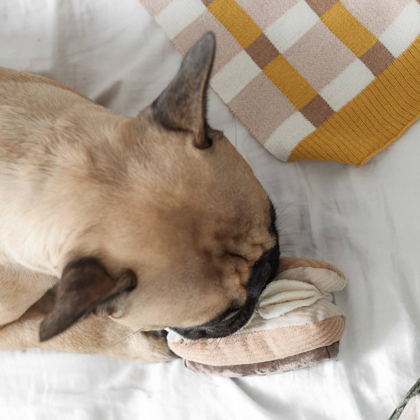 Eclair / Enrichment Dog Toy