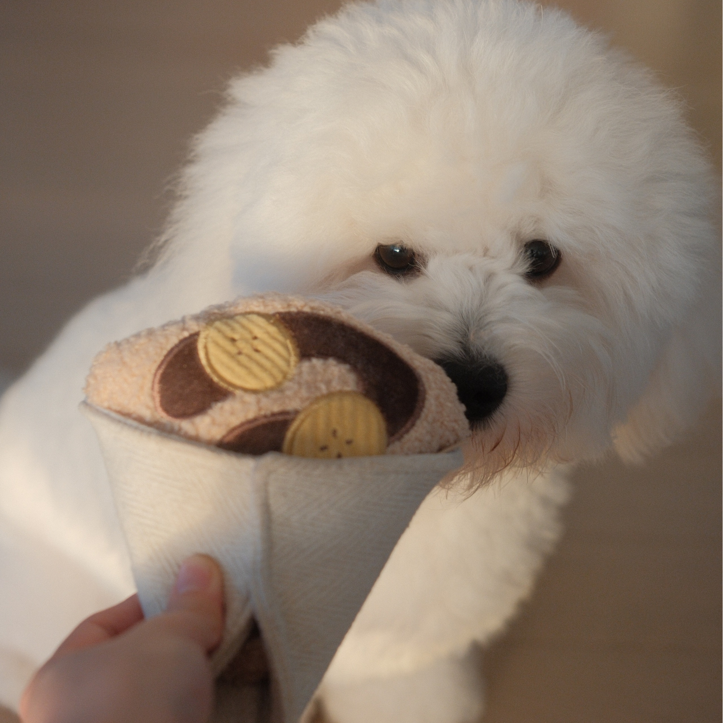 Crepe // Enrichment Dog Toy