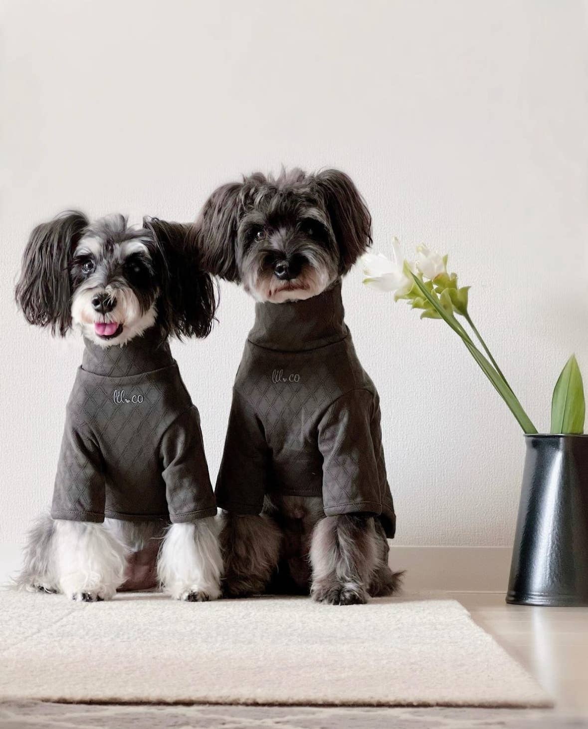 Marlowe Pet