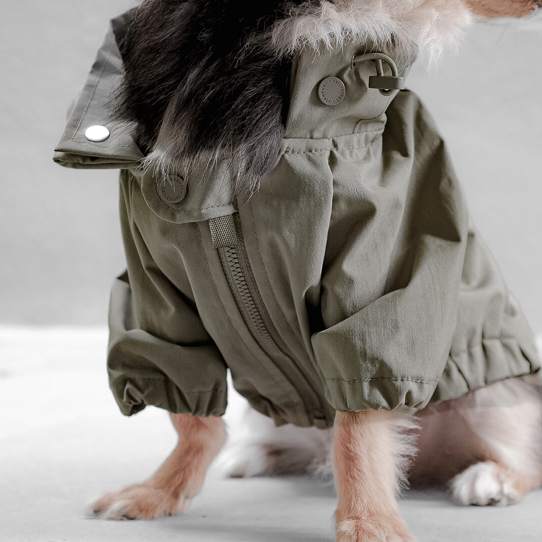 BROOKLYN DOG COAT
