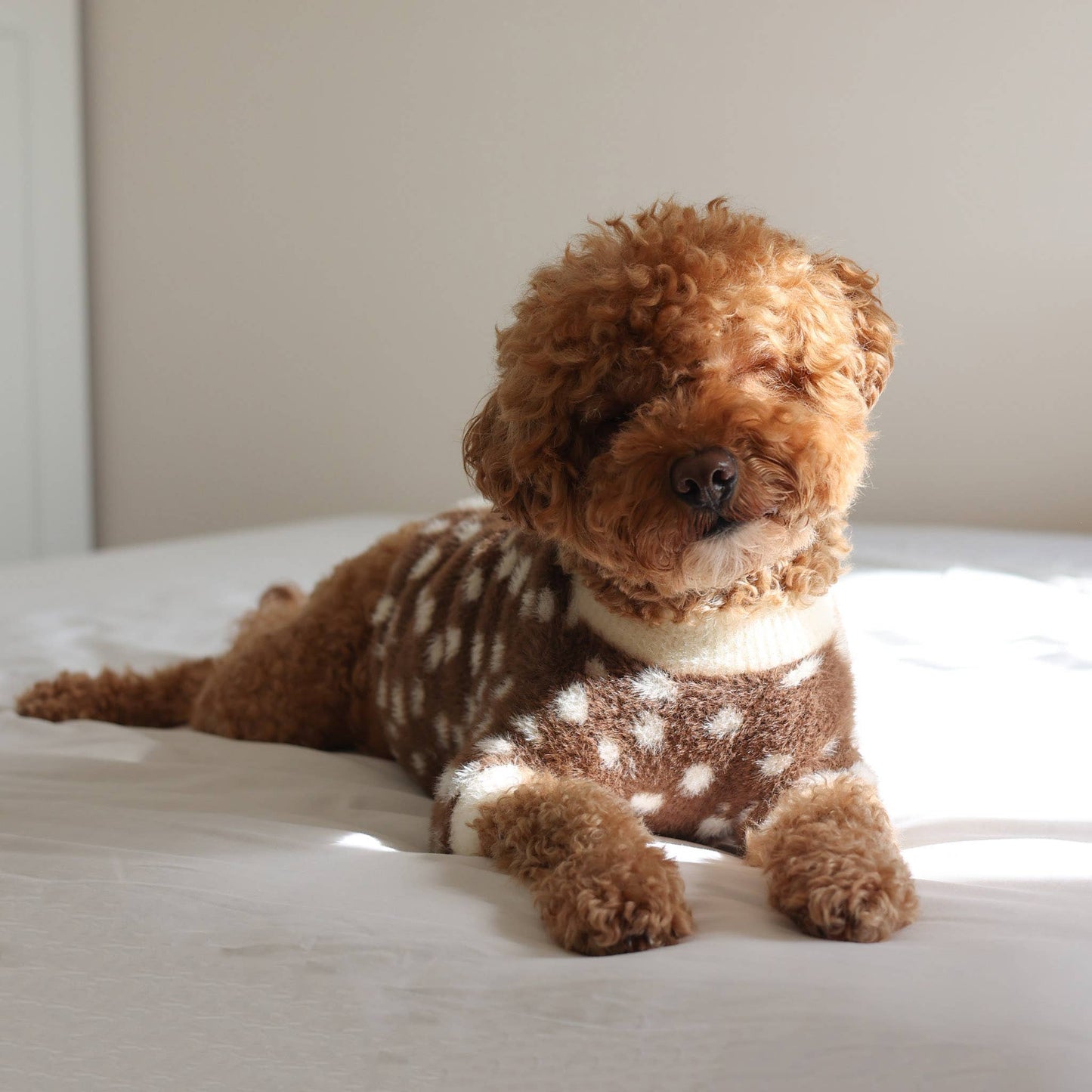 Oh Deer! Soft Cloud Sweater | Pet Sweater for Dogs & Cats
