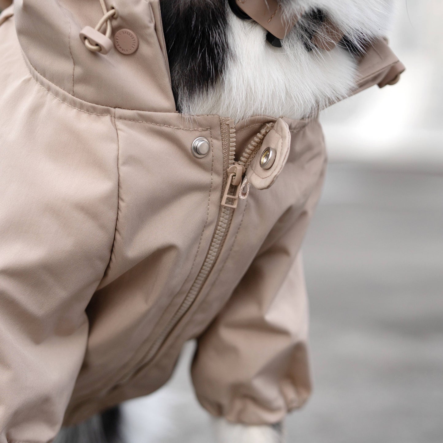 BROOKLYN DOG COAT