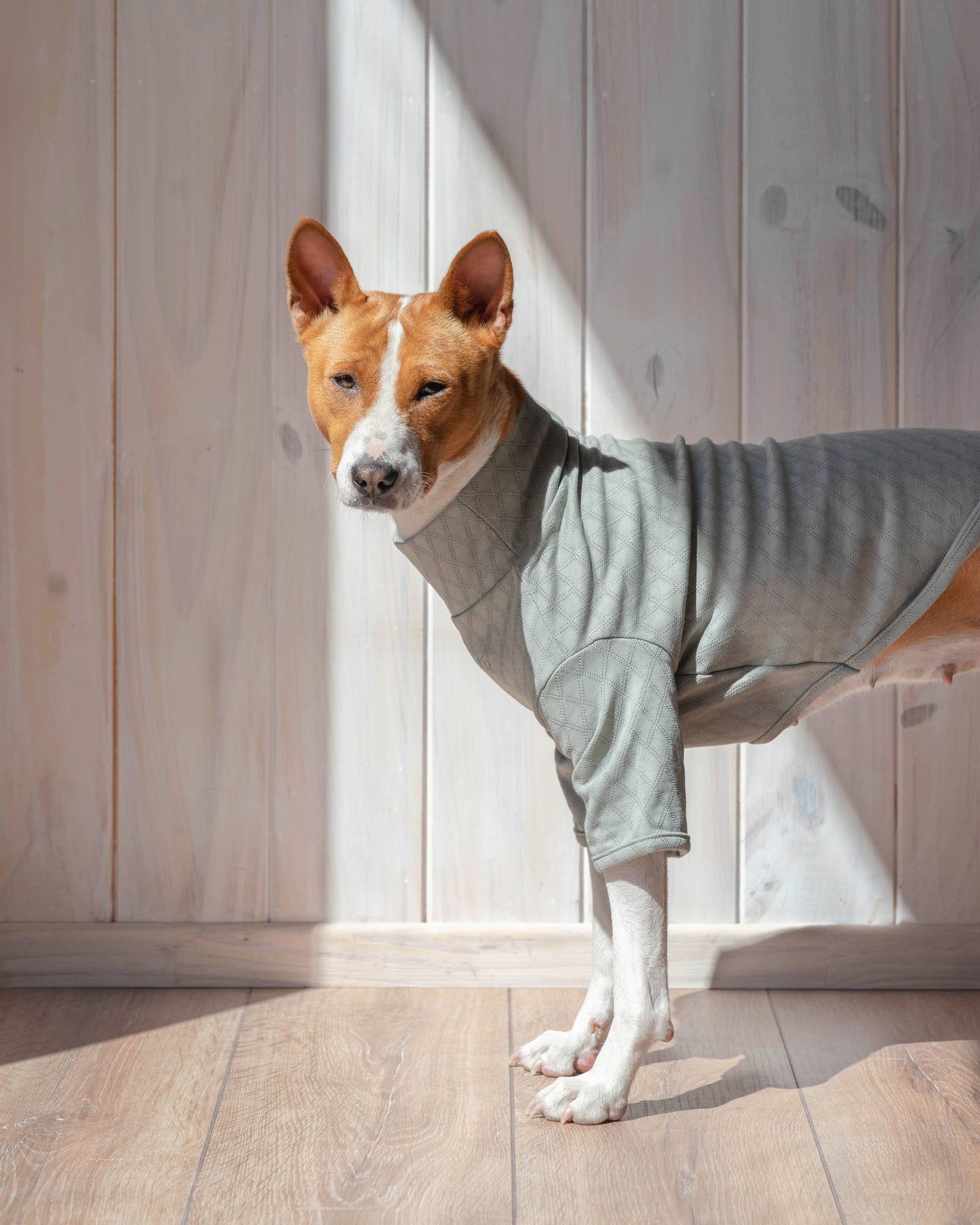 Marlowe Pet