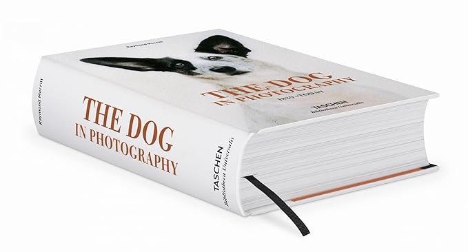 The Dog In Photography