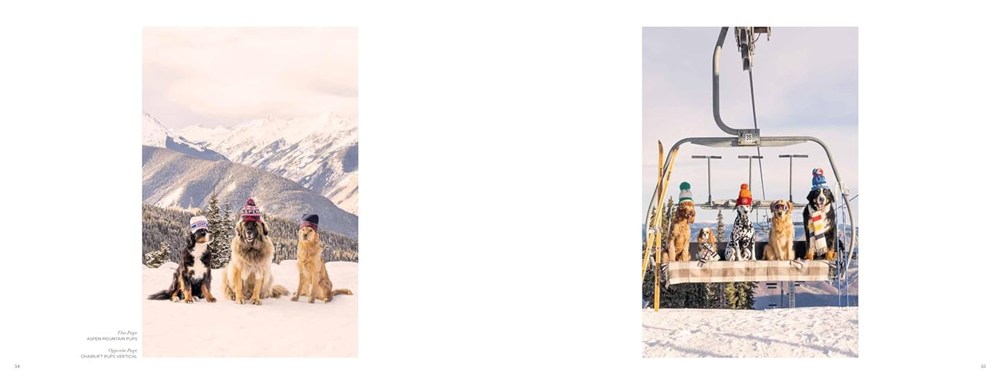 Gray Malin: DOGS