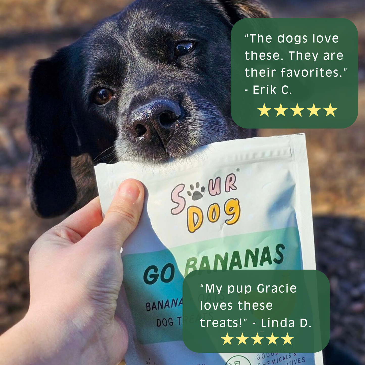 Banana Sourdough Dog Treats - Gut Friendly | 3.5 oz