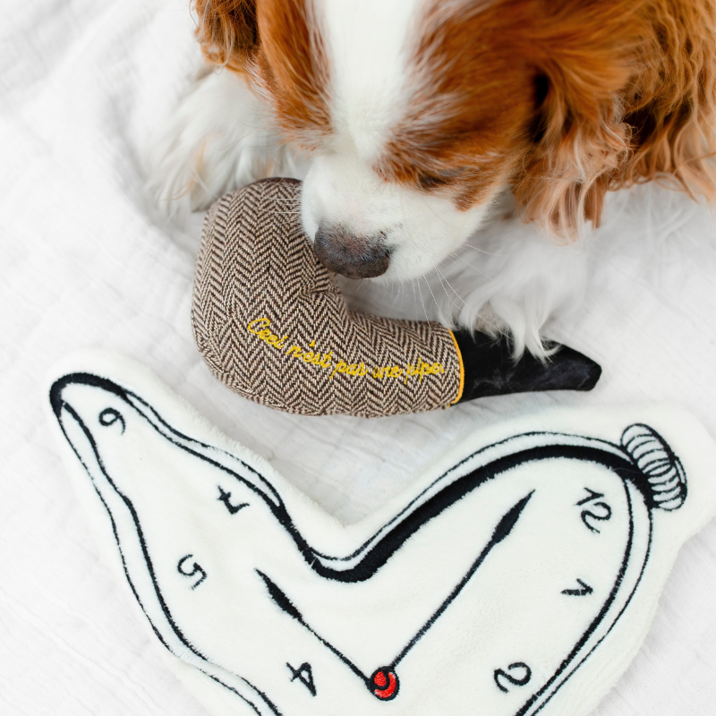 DALI // Surrealist Snuffles / ENRICHMENT DOG TOY