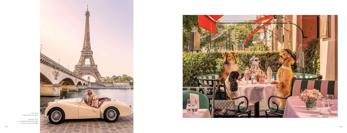 Gray Malin: DOGS