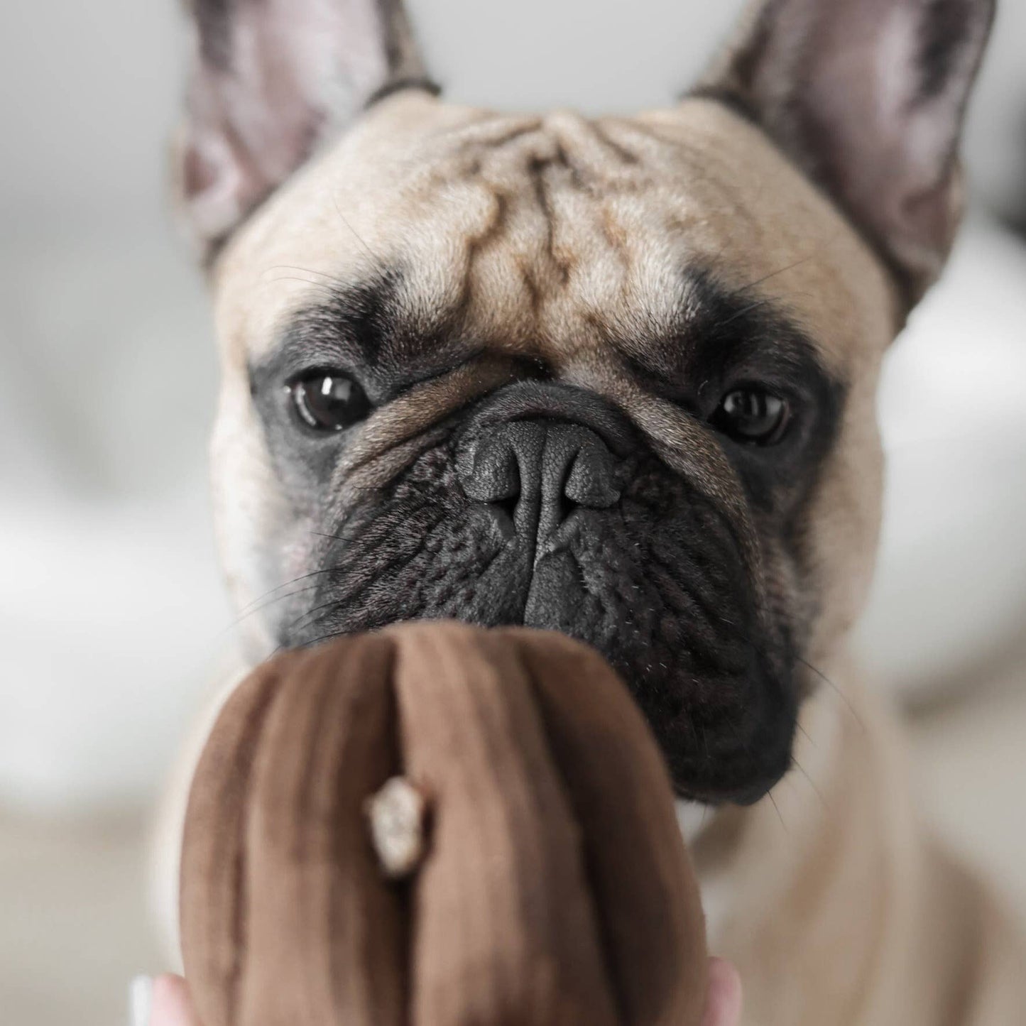 CANELE ENRICHMENT DOG TOY