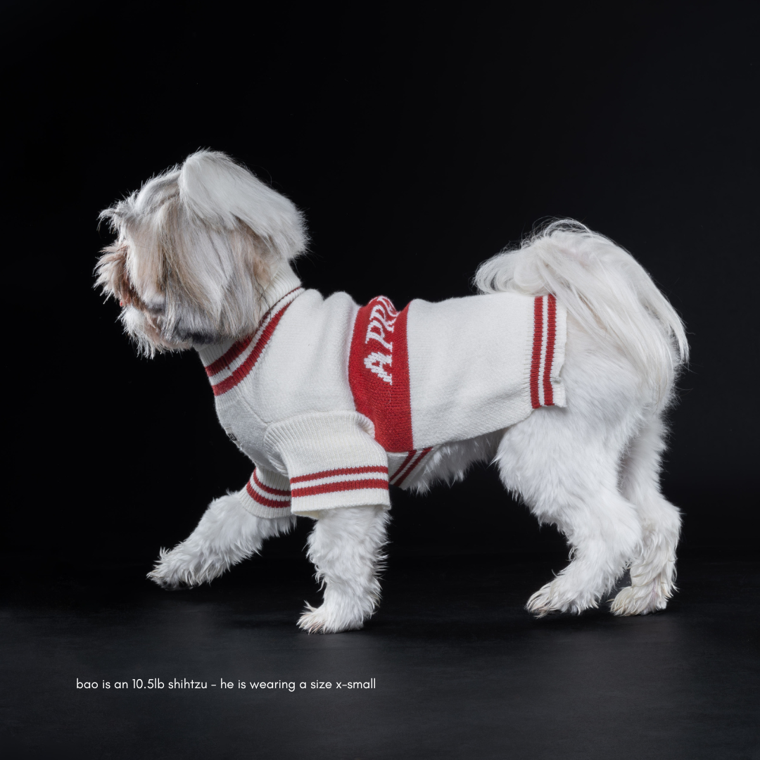 Après-ski Pet Sweater for Dogs and Cats