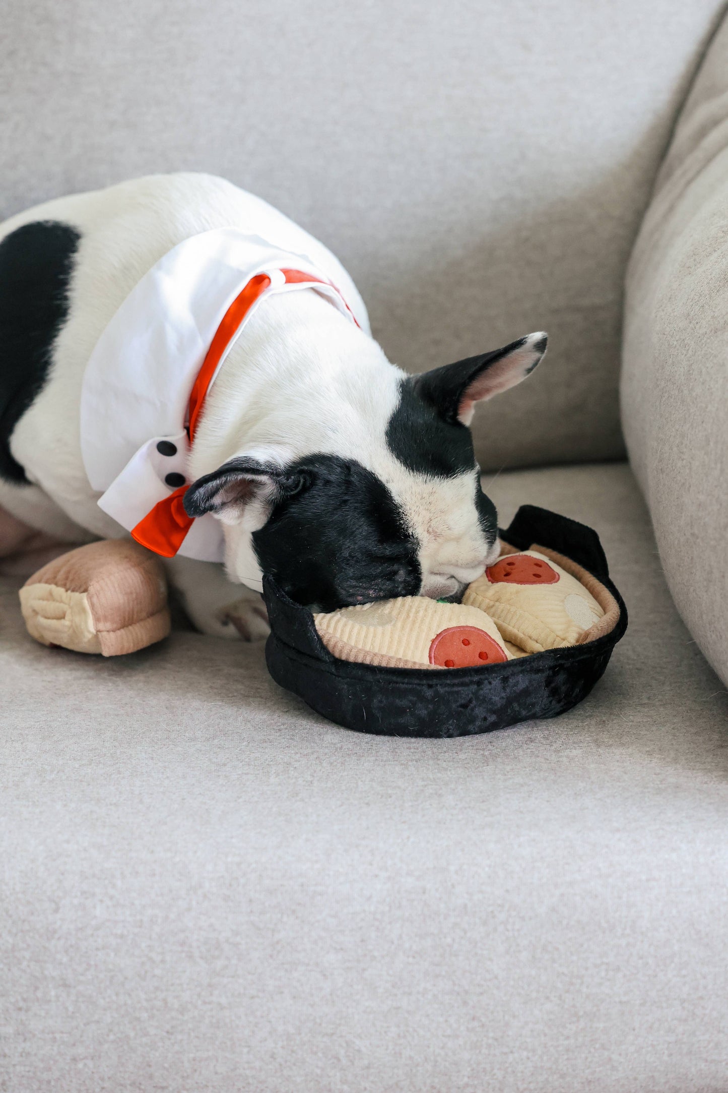 DEEP DISH PIZZA // ENRICHMENT DOG TOY