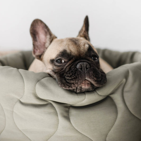 TAART DOG BED