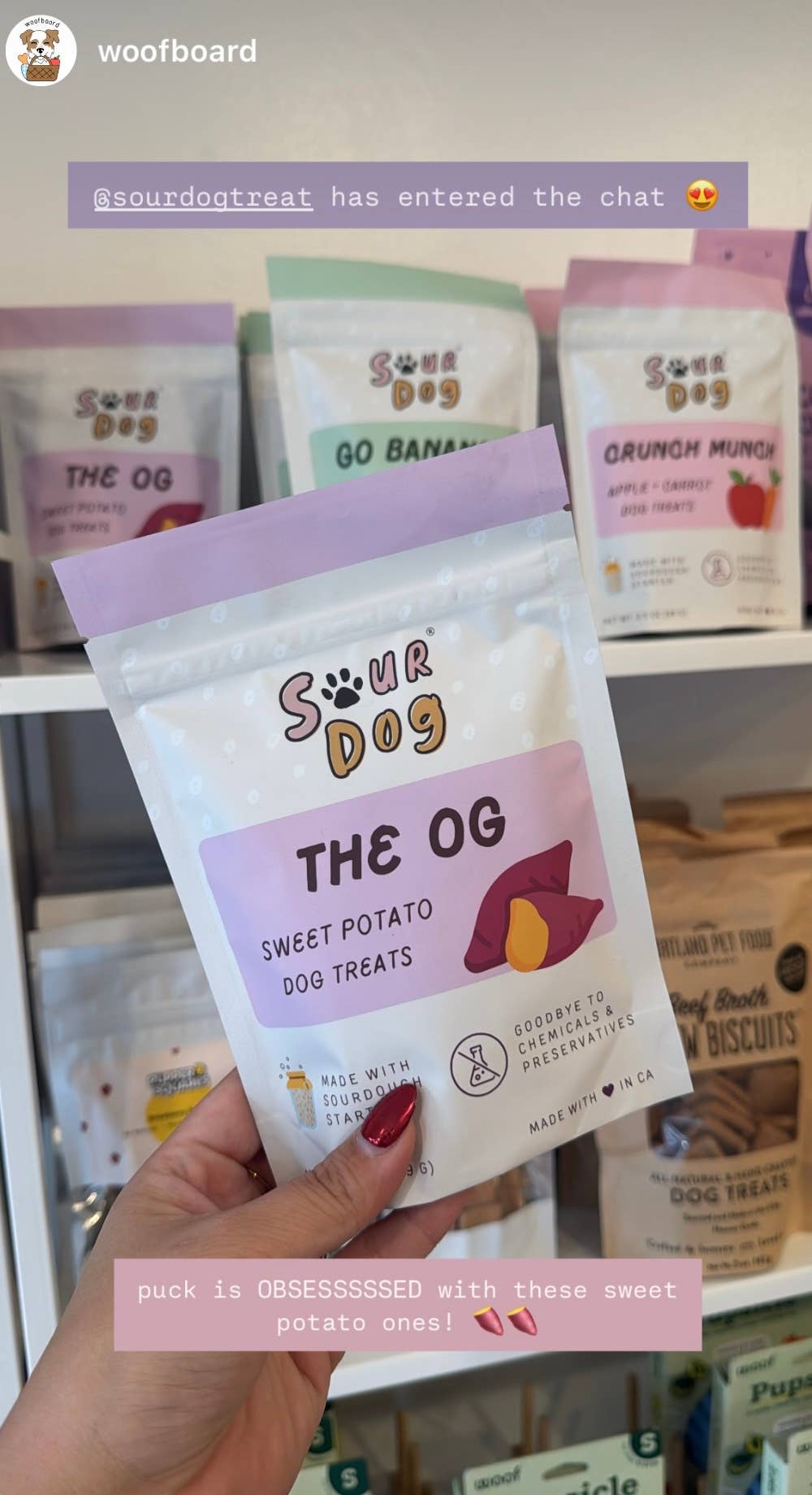 Sweet Potato Sourdough Dog Treats - Gut Friendly | 3.5 oz