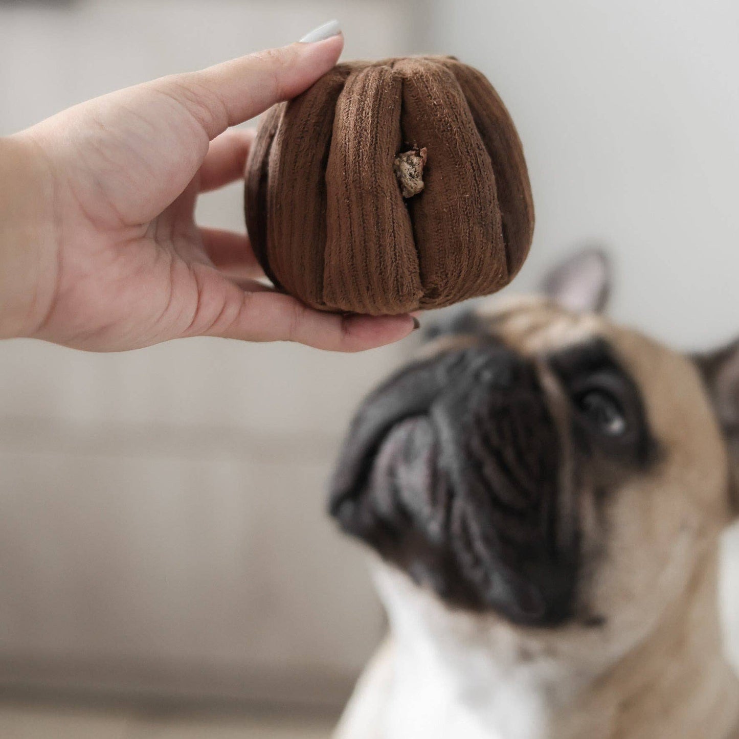 CANELE ENRICHMENT DOG TOY