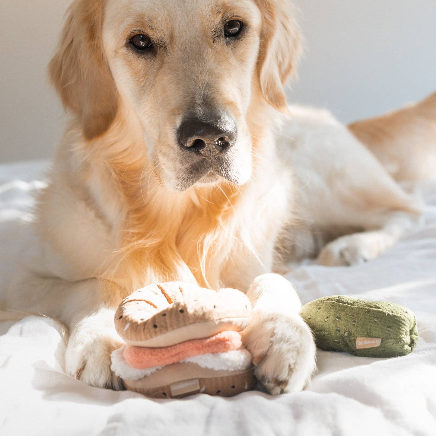 Bagel + Pickle // ENRICHMENT DOG TOY