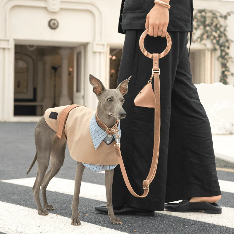 Blushwood Leather Dog Leash