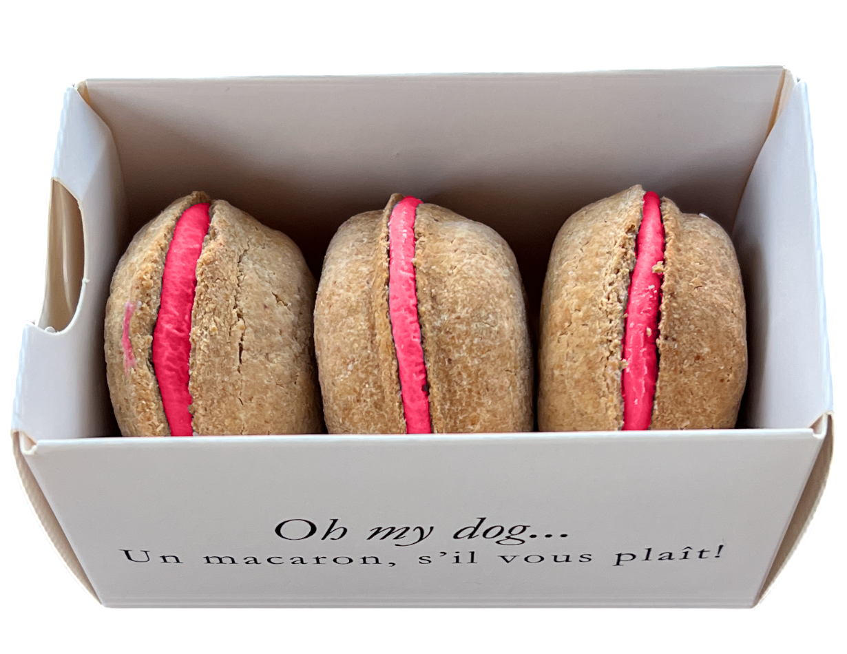 Dog Macarons | Dog Gifts (3 count)