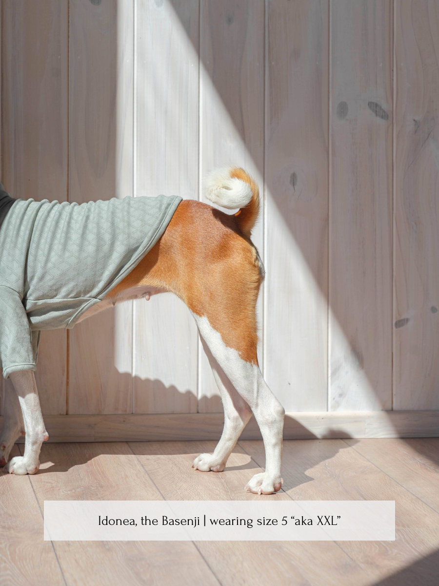 Marlowe Pet