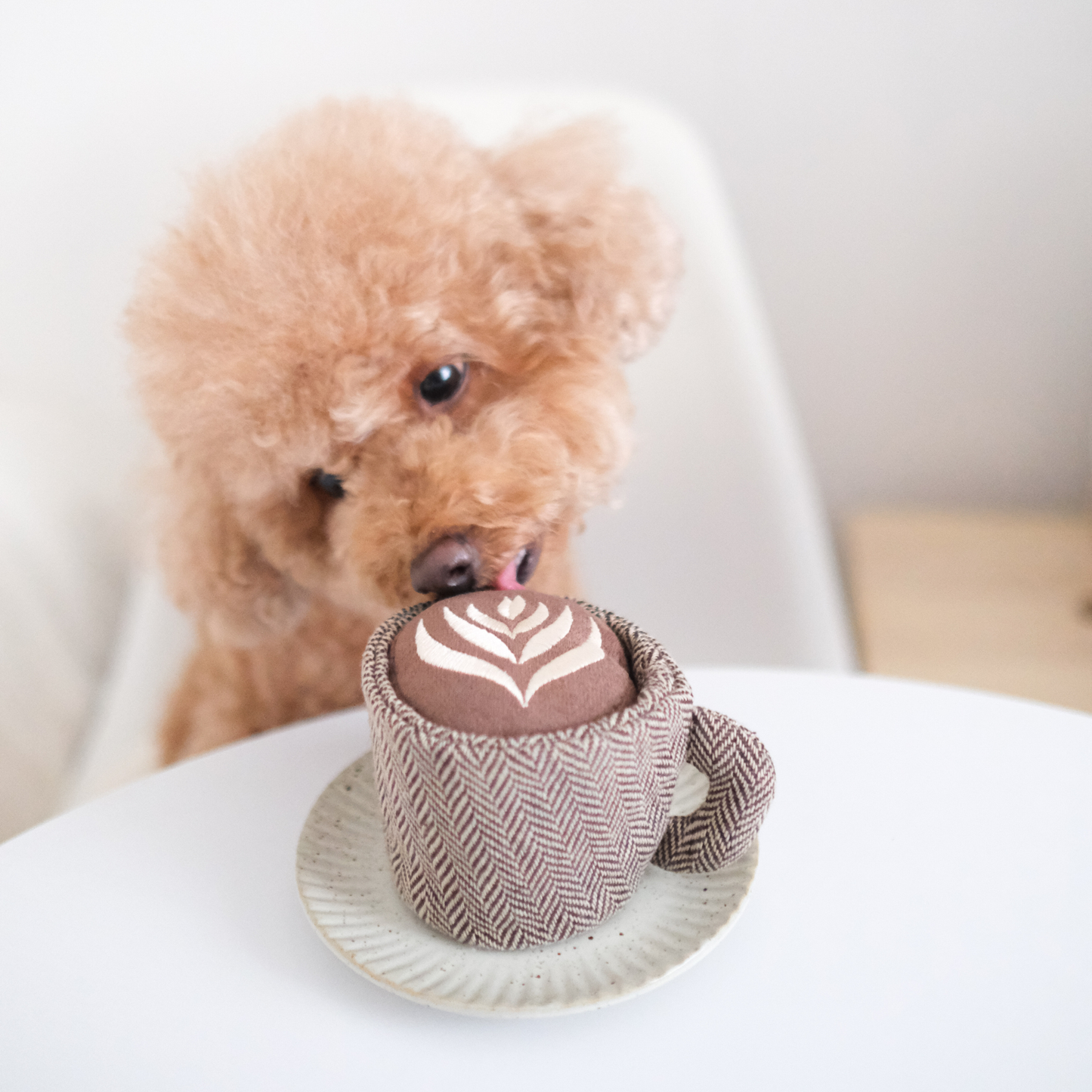 Latte Pop / Enrichment Toy Set // Snuffle Toy