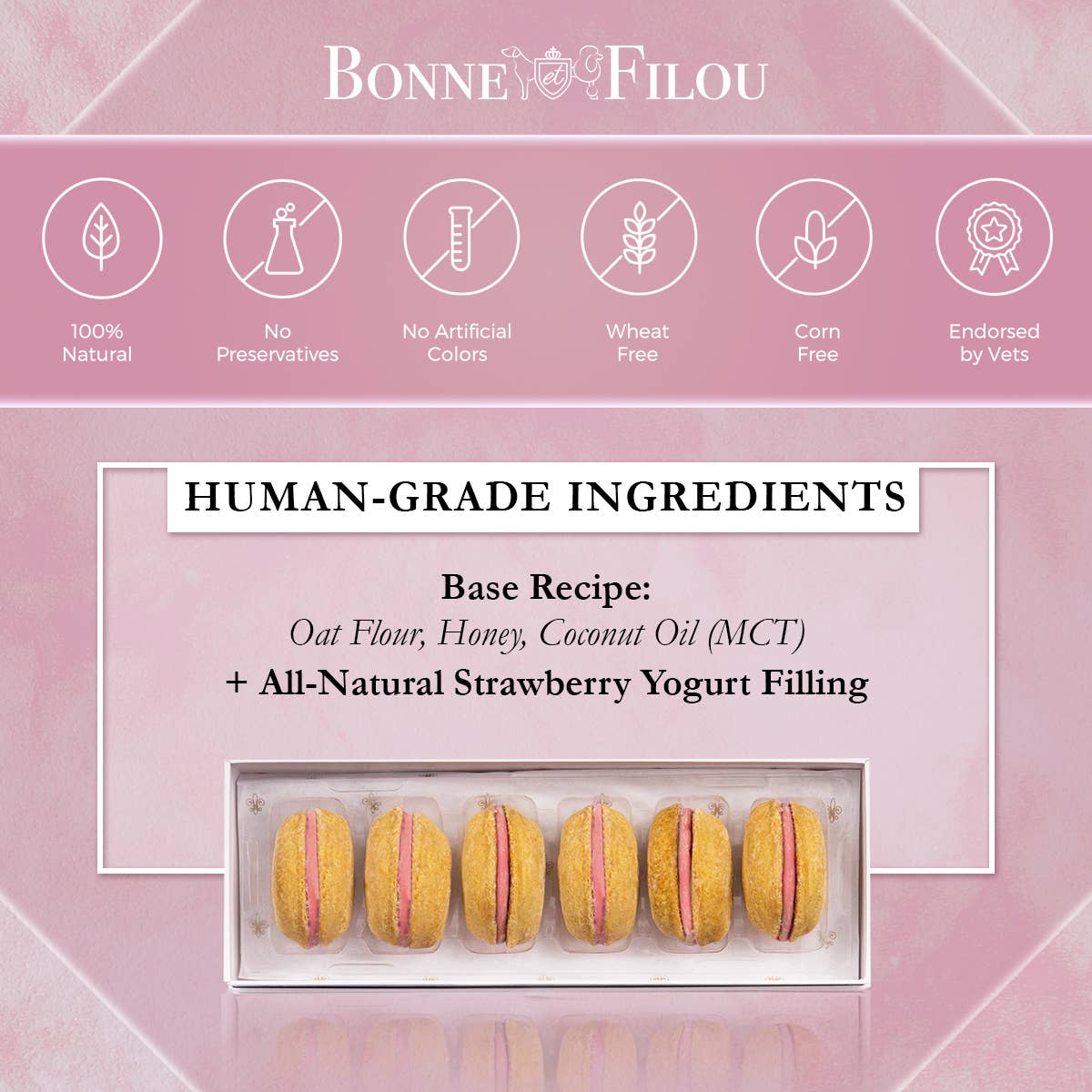 Dog Macarons | Dog Gifts (3 count)