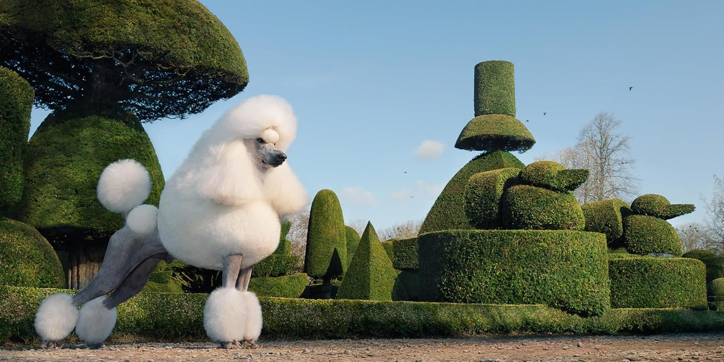 Tim Flach: DOGS