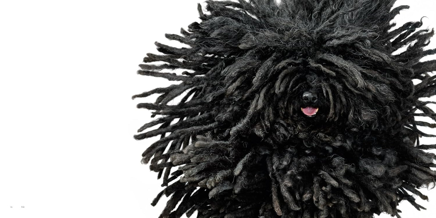 Tim Flach: DOGS