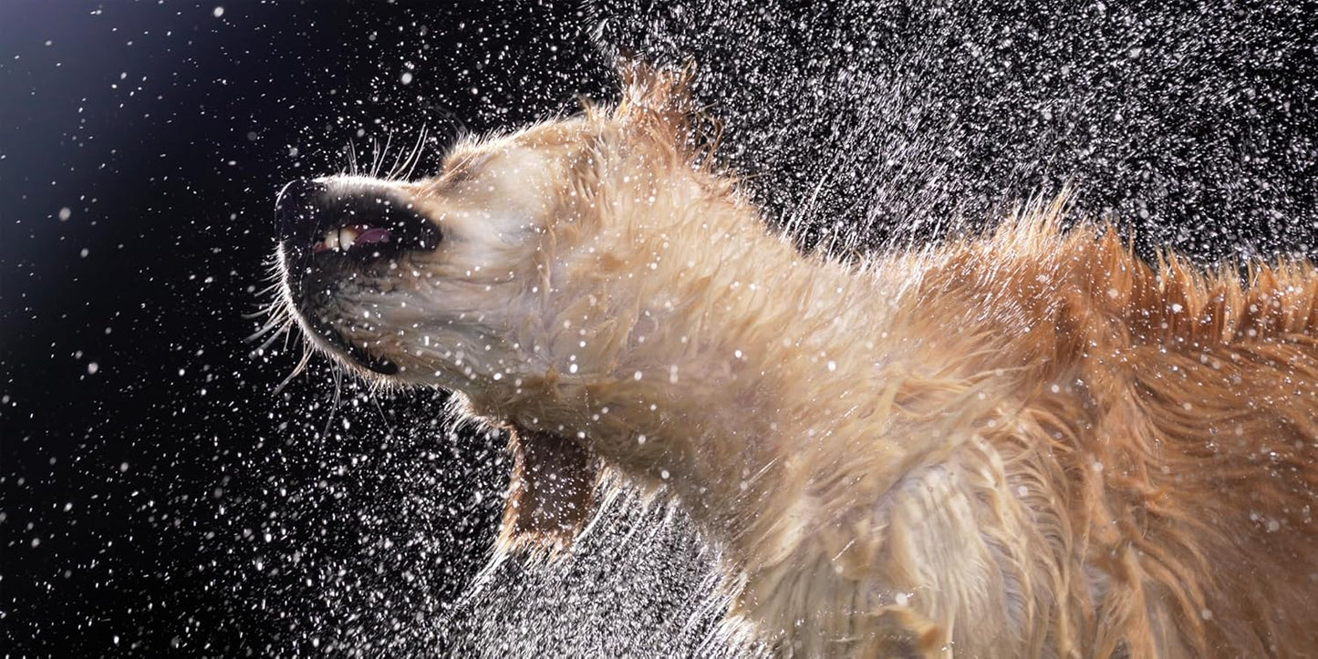 Tim Flach: DOGS