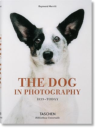 The Dog In Photography