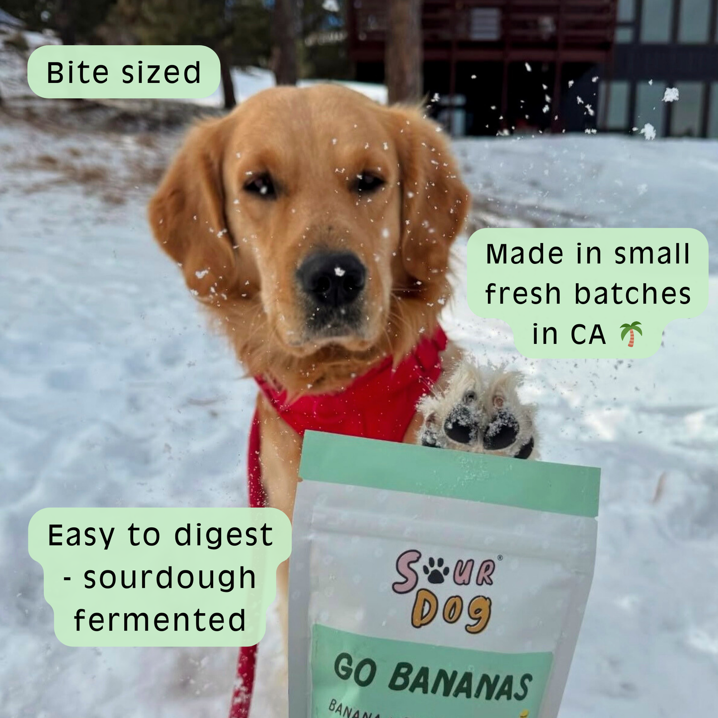 Banana Sourdough Dog Treats - Gut Friendly | 3.5 oz