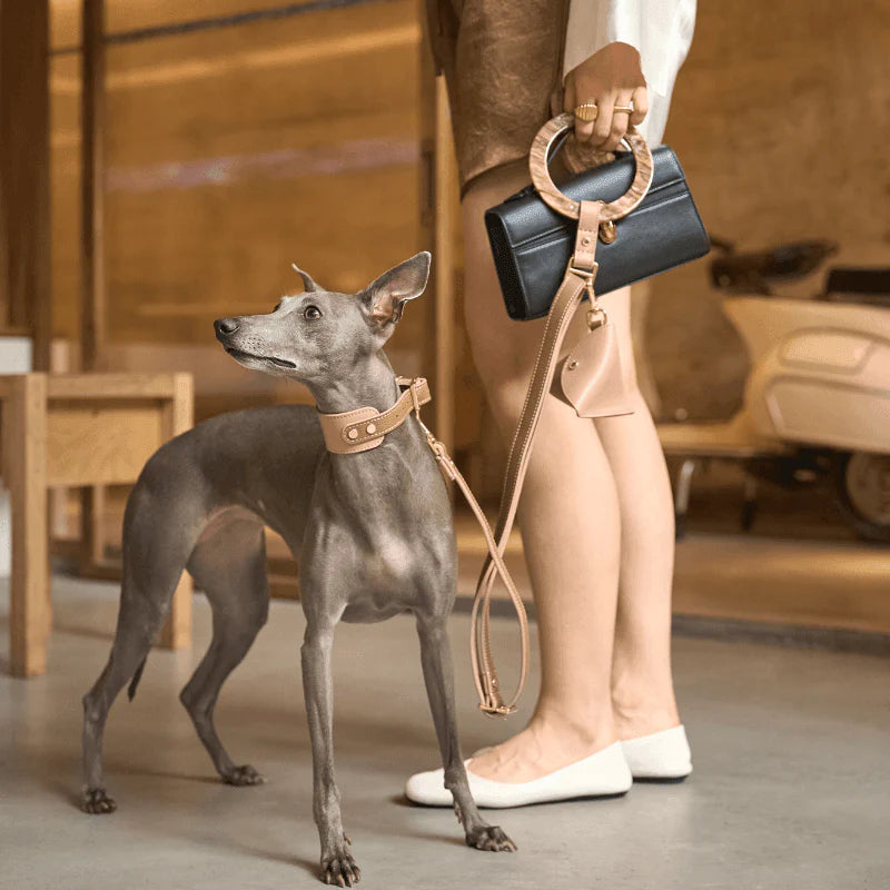 Blushwood Leather Dog Collar