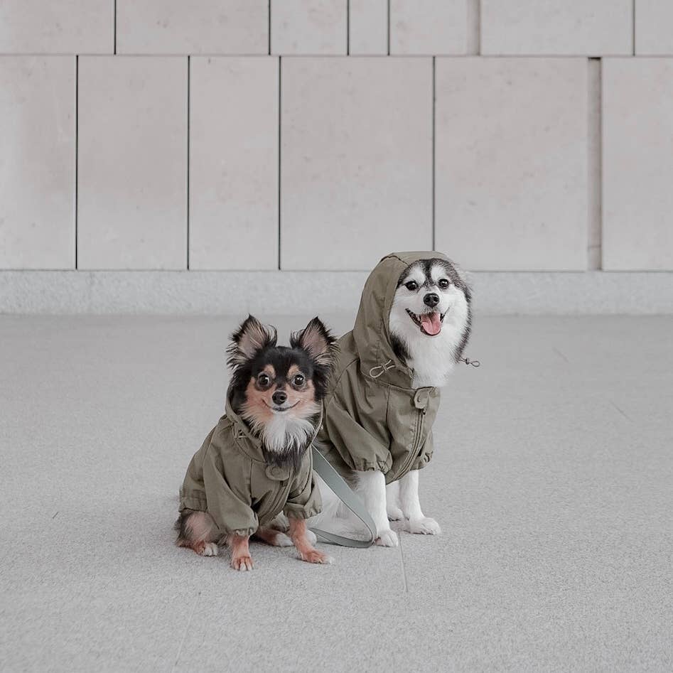 BROOKLYN DOG COAT
