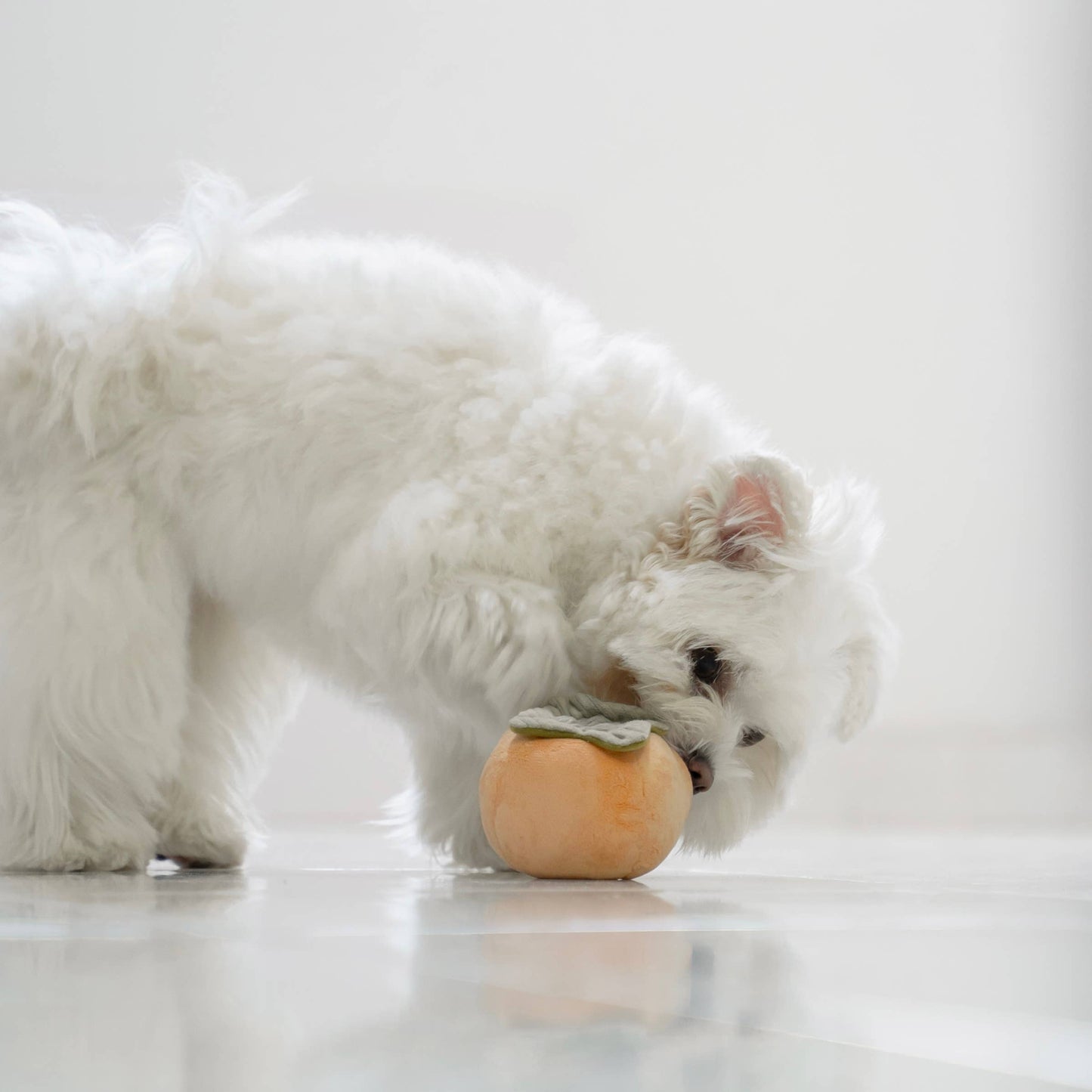 Persimmon / Enrichment Dog Toy // Snuffle Toy