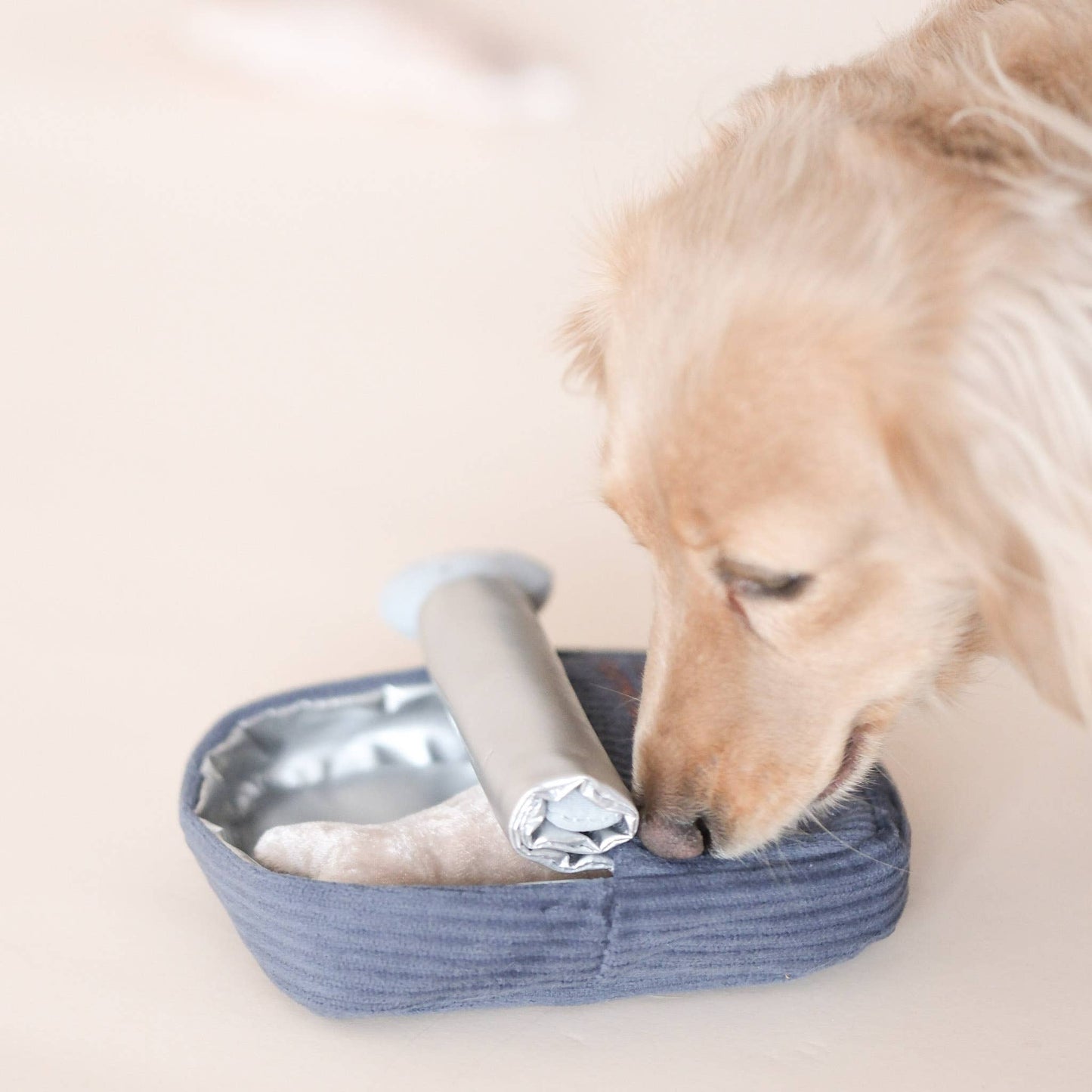 Sardines - Enrichment Dog Toy