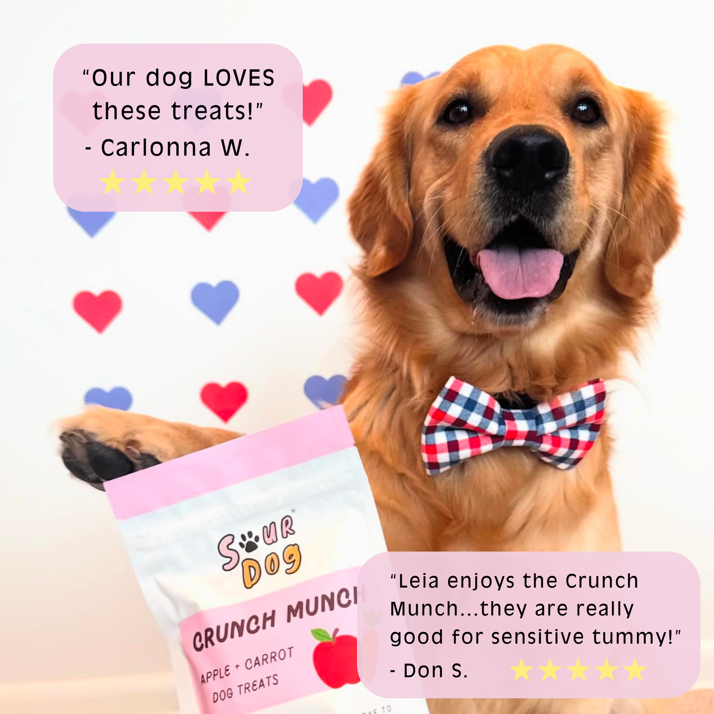 Apple + Carrot Sourdough Dog Treats - Gut Friendly | 3.5 oz