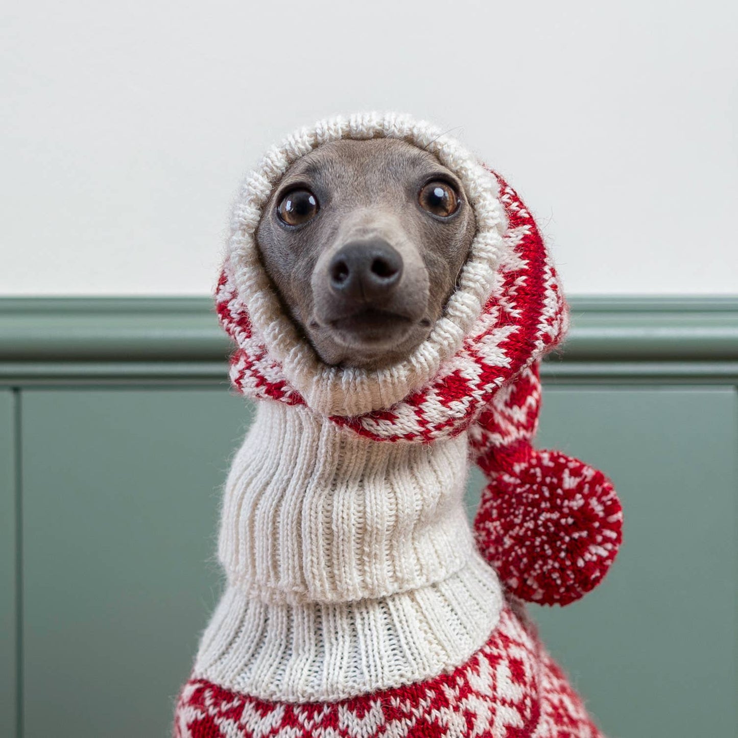 Snowflake Red Alpaca Dog Hat