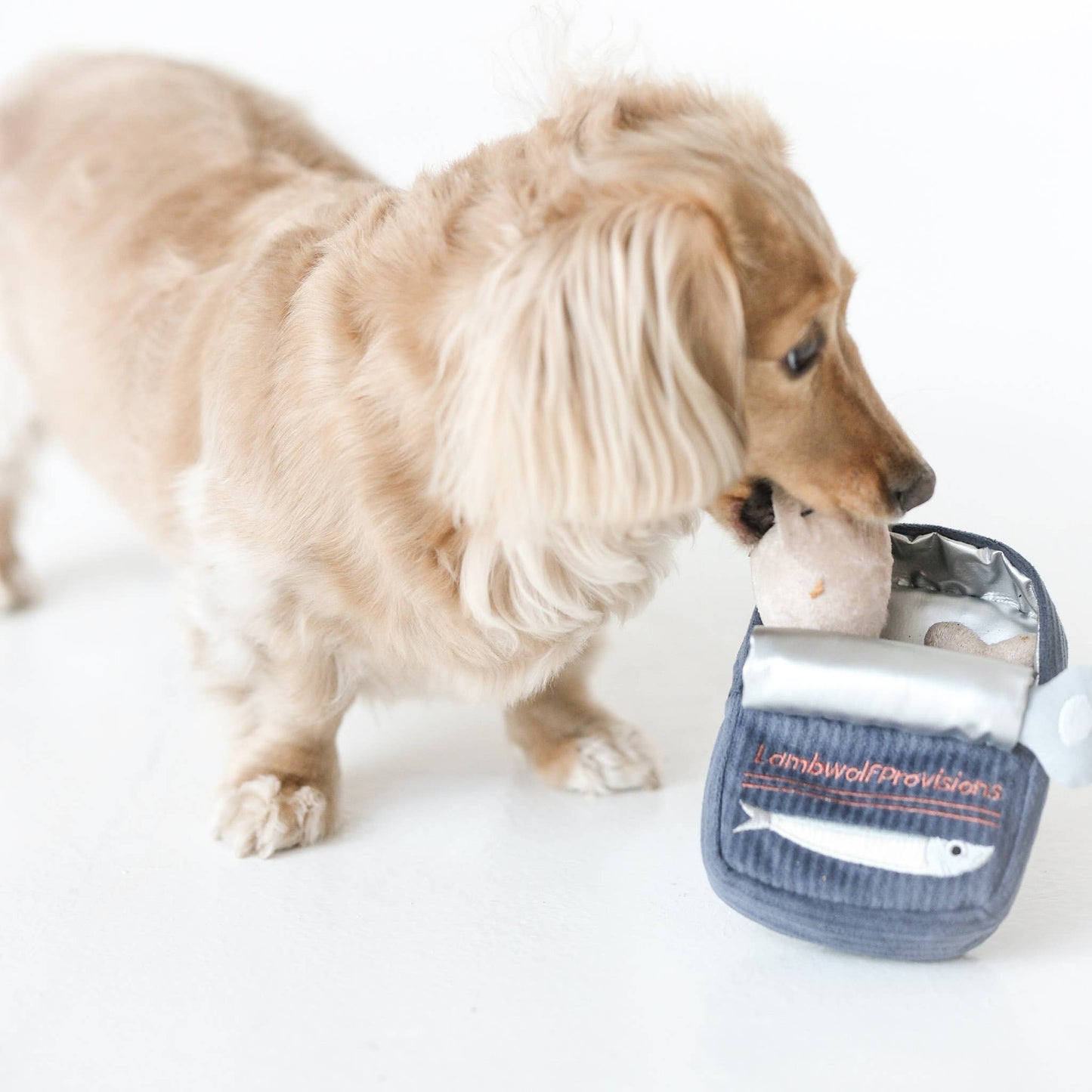 Sardines - Enrichment Dog Toy