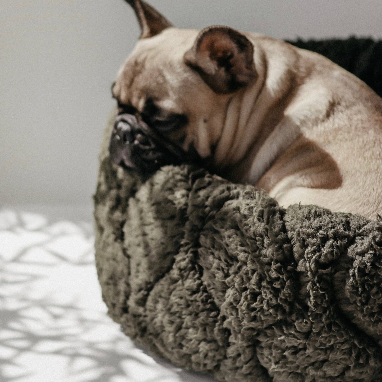 TAART DOG BED