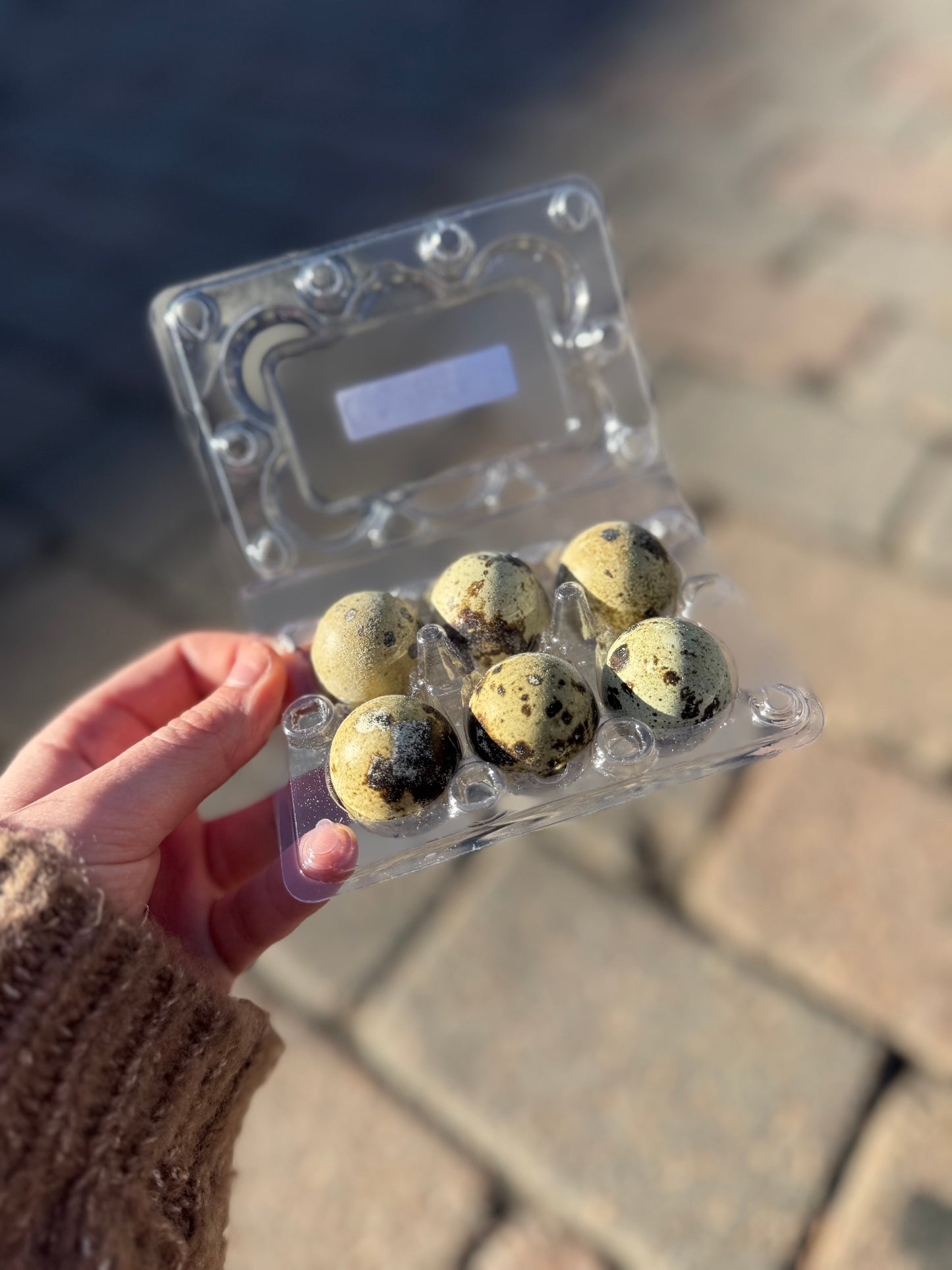 Quail Eggs