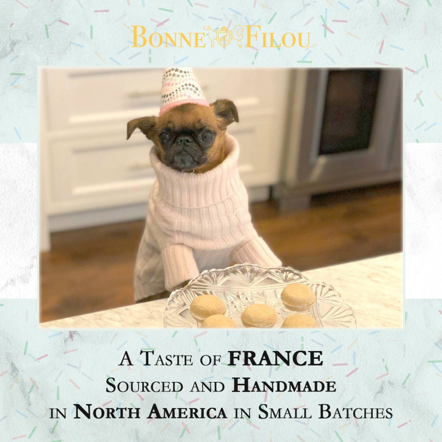 Dog Macarons | Dog Gifts (3 count)