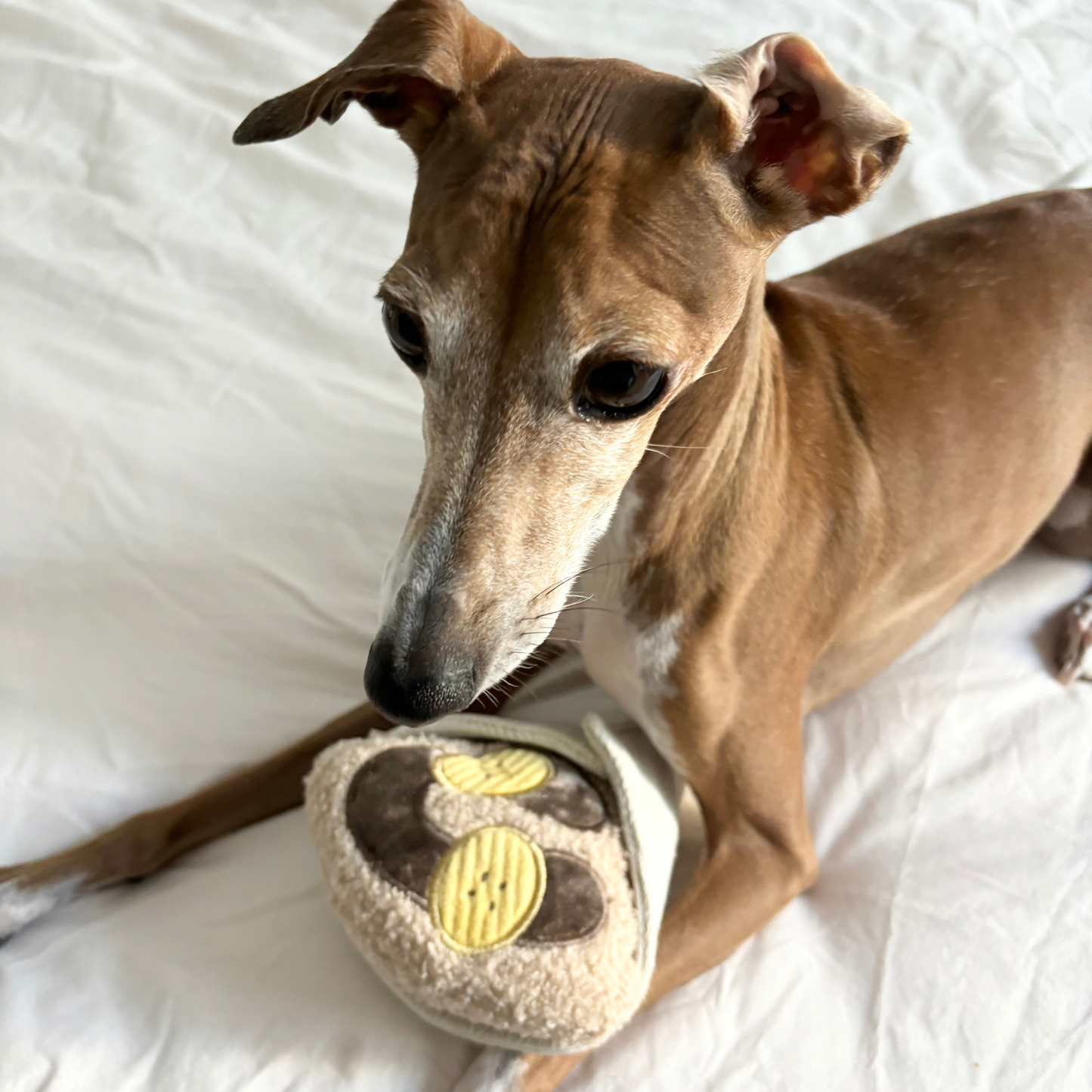 Crepe // Enrichment Dog Toy