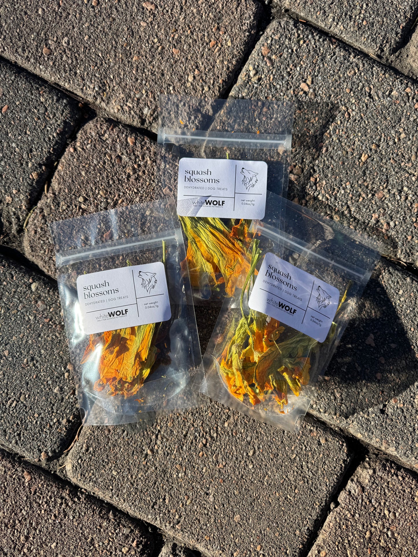 Squash Blossoms