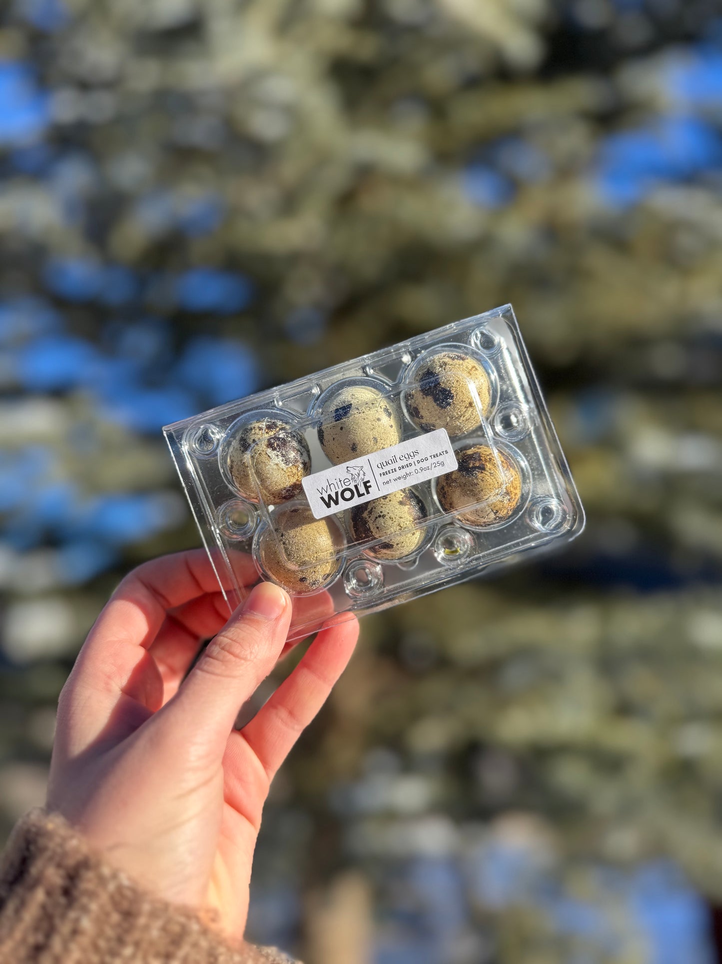 Quail Eggs