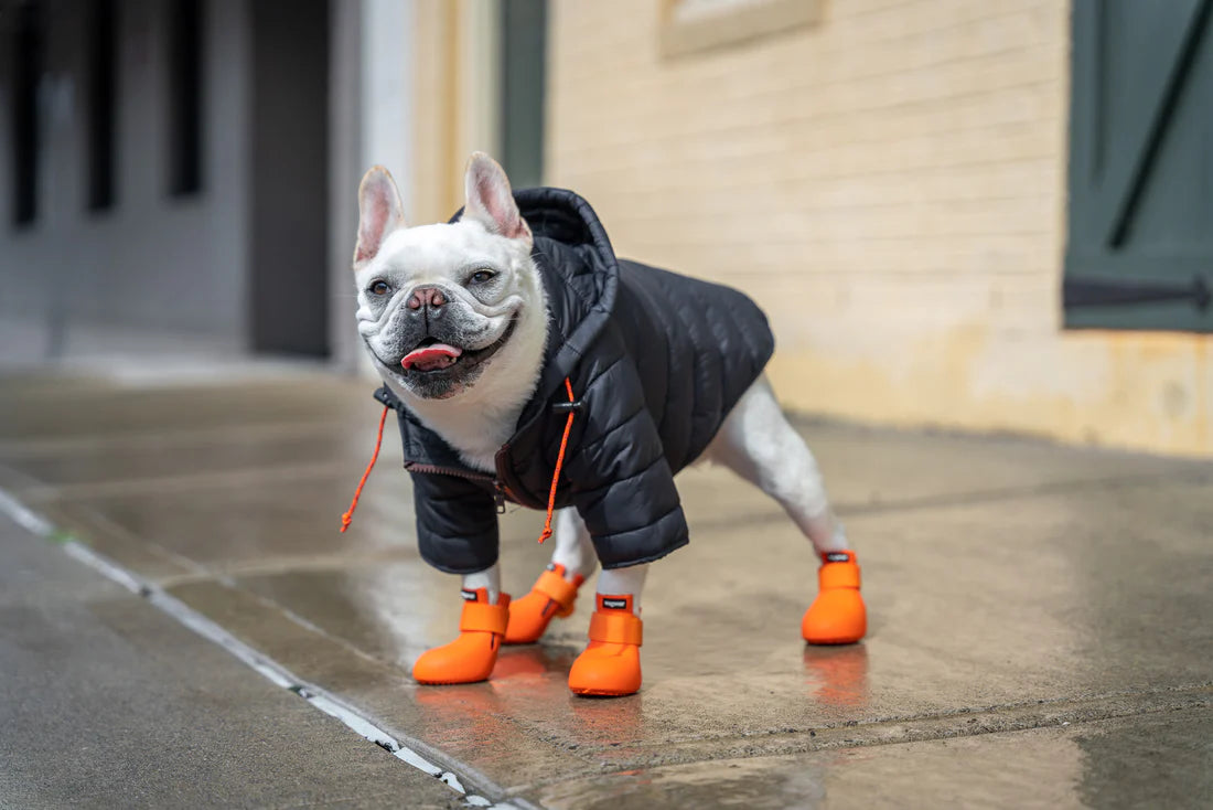 Black Puffer Jacket