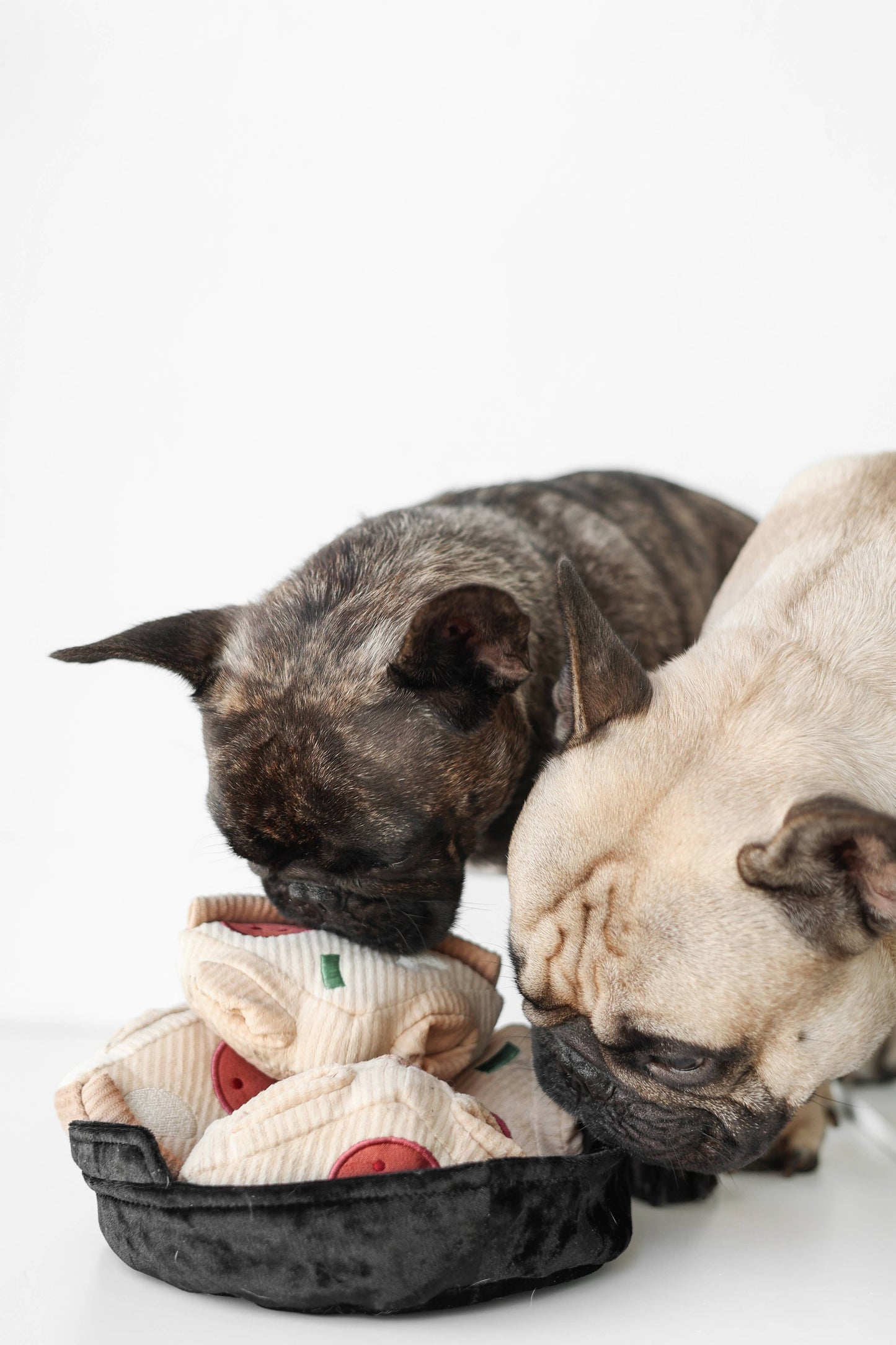 DEEP DISH PIZZA // ENRICHMENT DOG TOY