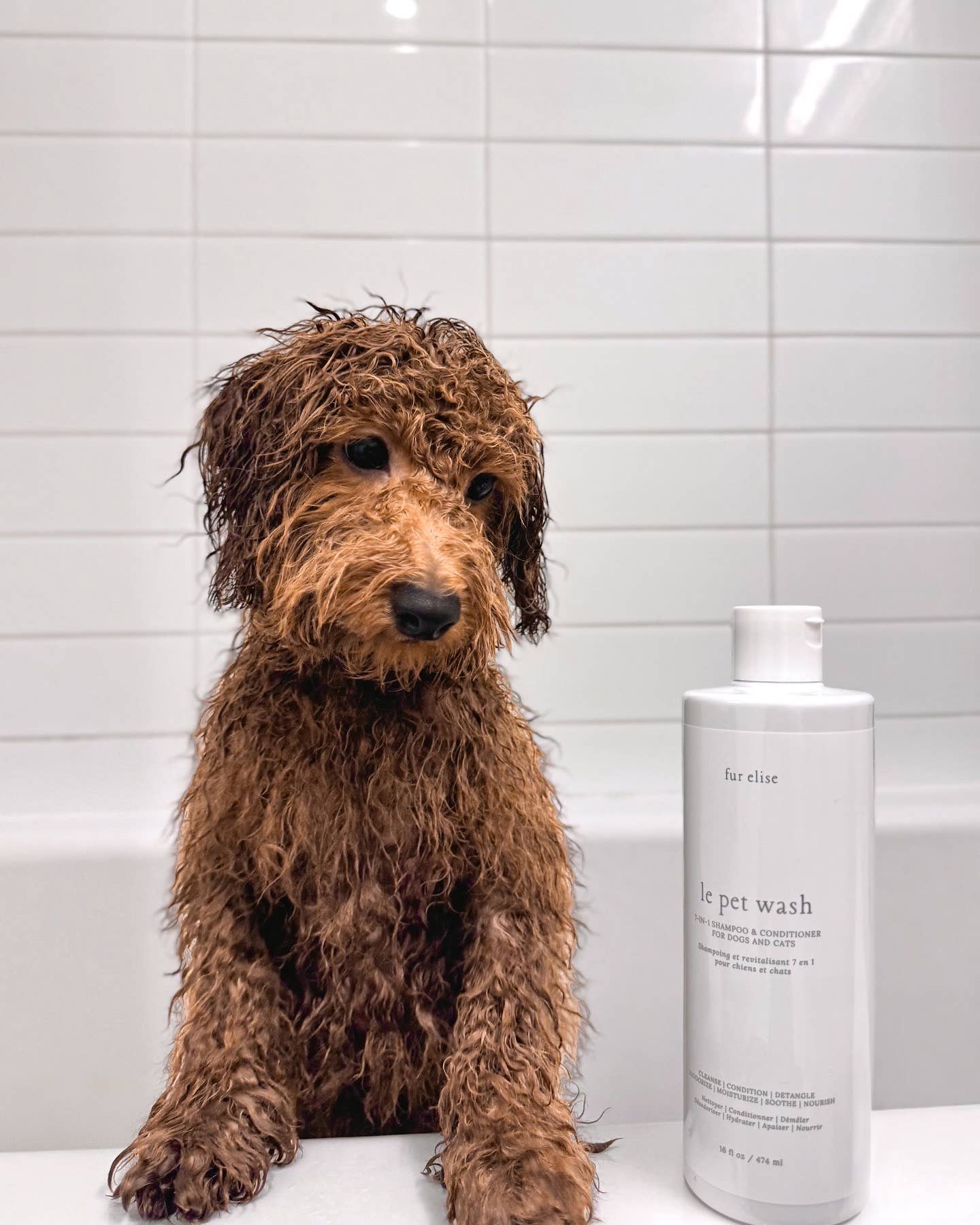 Le Pet Wash