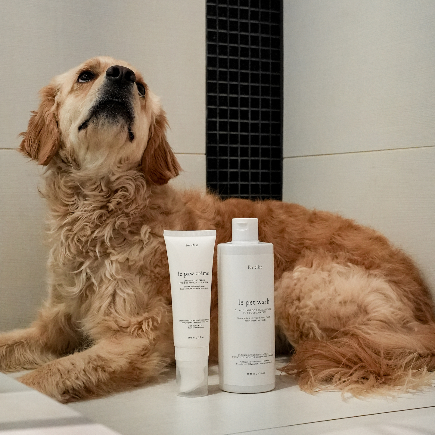 Le Paw Cream