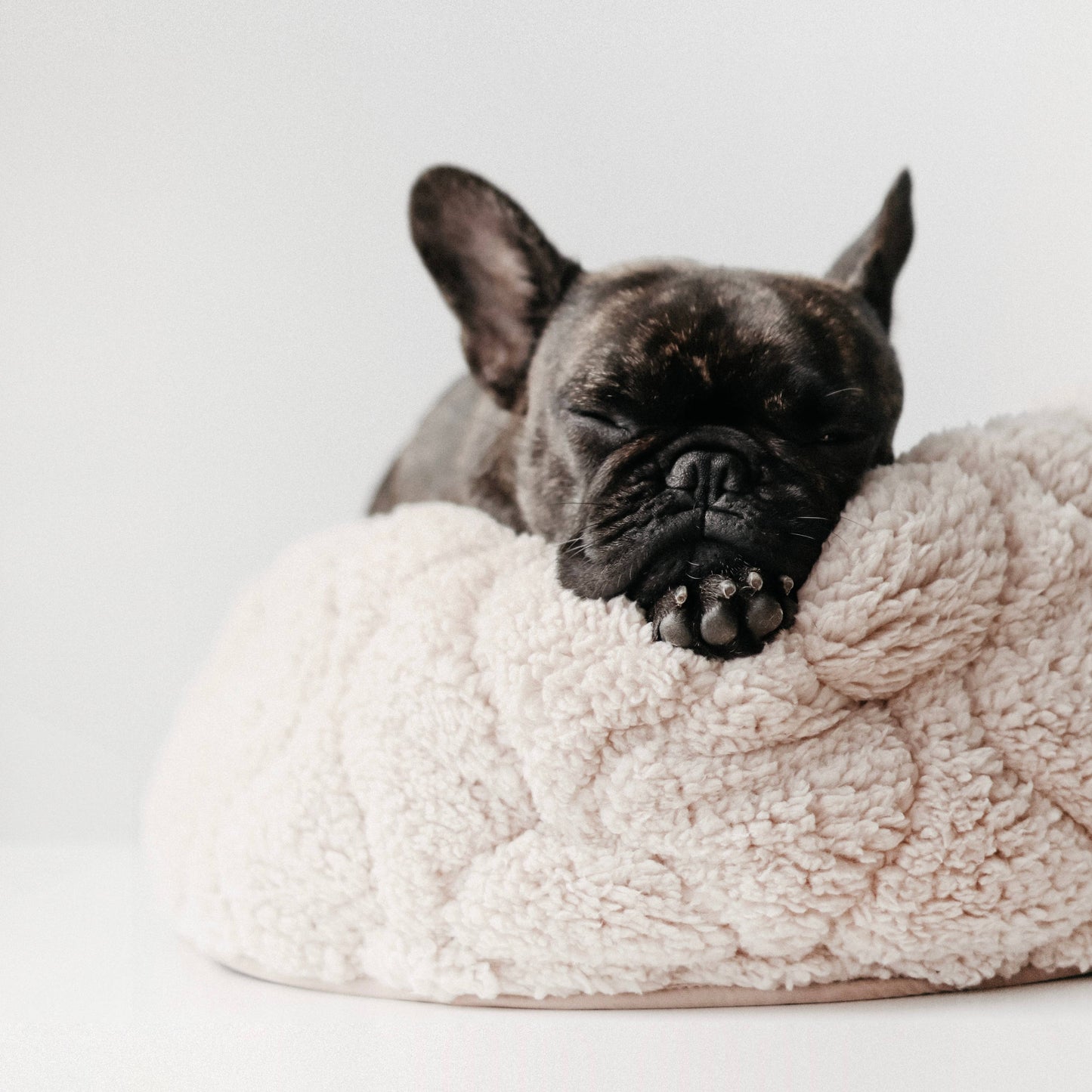 TAART DOG BED