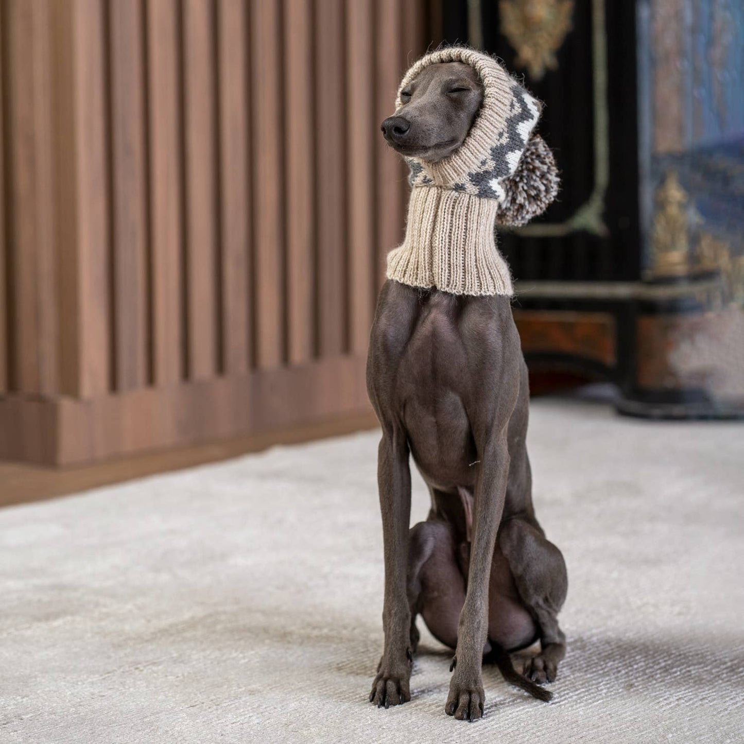 Woolly Winter Alpaca Dog Hat