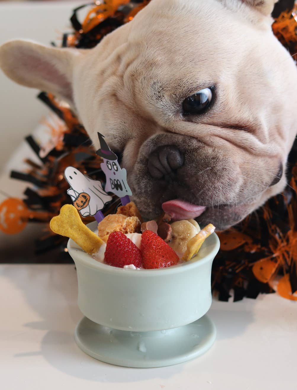 CHEWDEN Trove: Dog Enrichment Feeder | Frozen Treat Cup